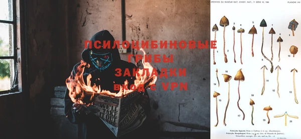 спиды Балабаново