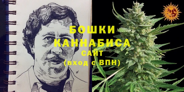 ПСИЛОЦИБИНОВЫЕ ГРИБЫ Баксан