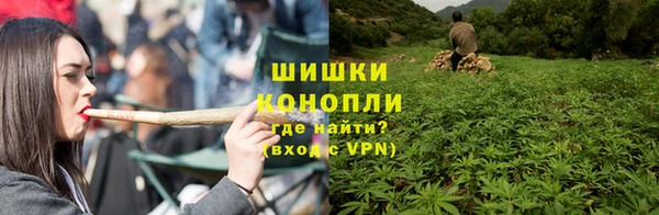 ПСИЛОЦИБИНОВЫЕ ГРИБЫ Баксан